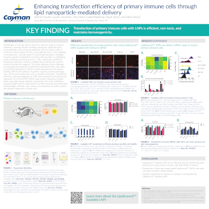 Enhancing Transfection Efficiency of Primary Immune Cells Through Lipid Nanoparticle-mediated Delivery
